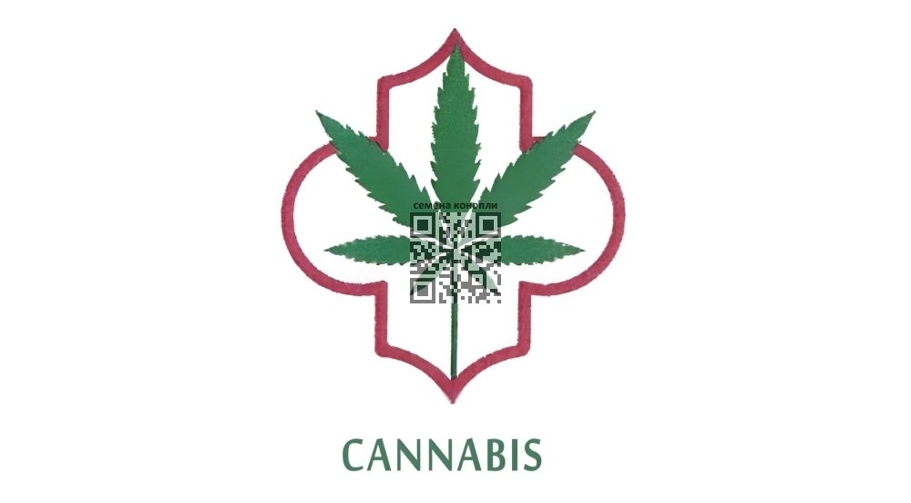 morocco-cannabis-logo.jpg