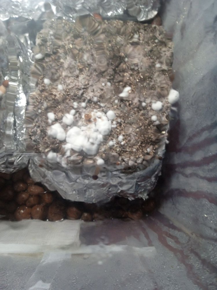 photo_2024-08-16_20-15-13.jpg