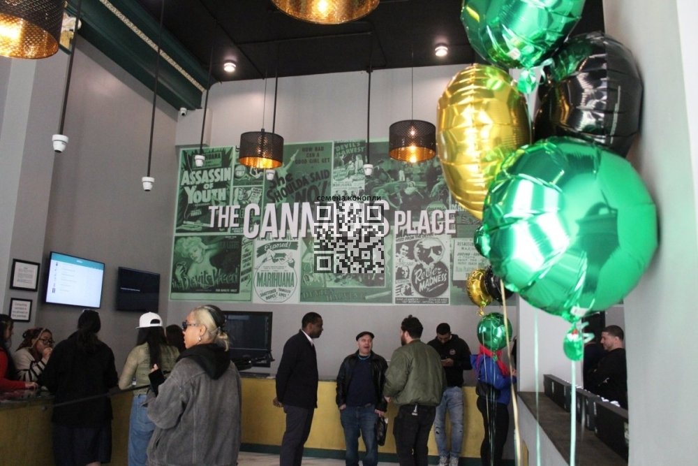 the-cannabis-place.jpg