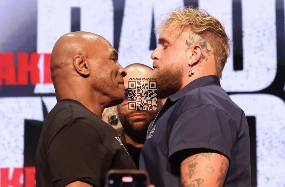 tyson-vs-paul.jpg