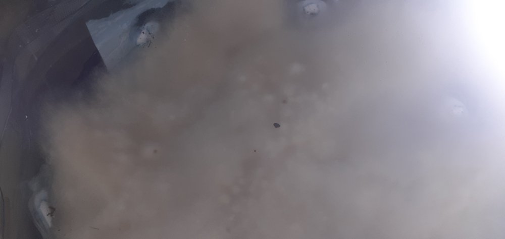 17260619960553441495783456557951.jpg