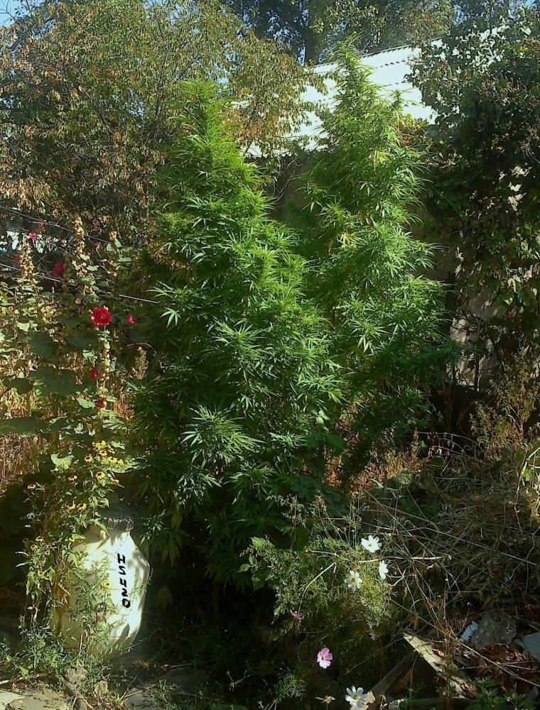 92014 — копия.jpg