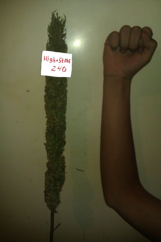 IMAG1052.jpg
