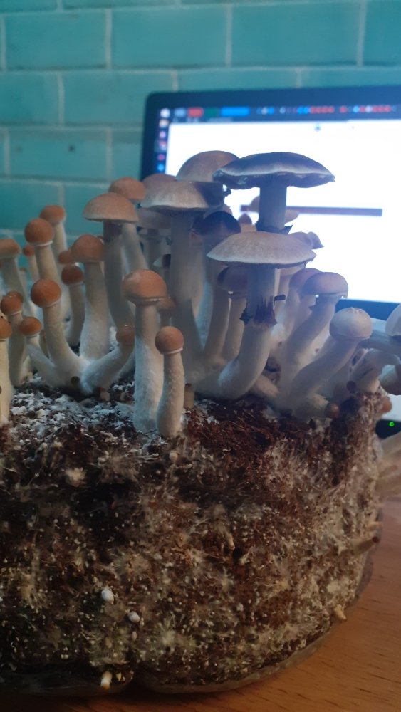 IMG-20240929-WA0018.jpeg