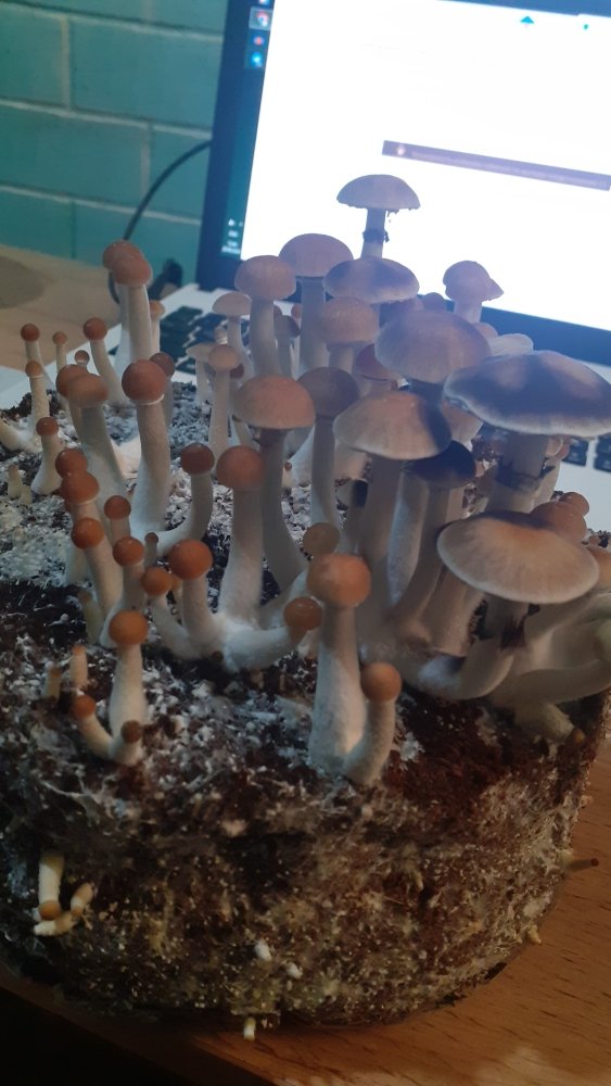 IMG-20240929-WA0022.jpeg