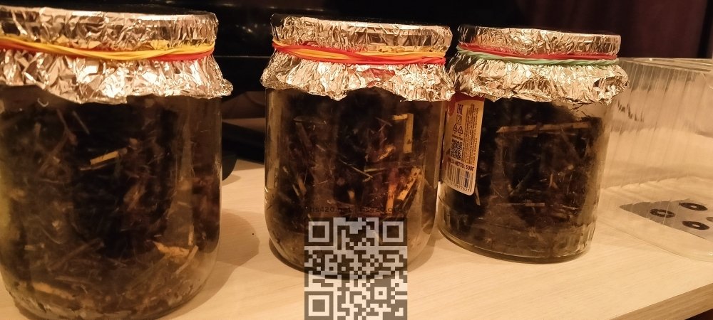 IMG20240920191631.jpg