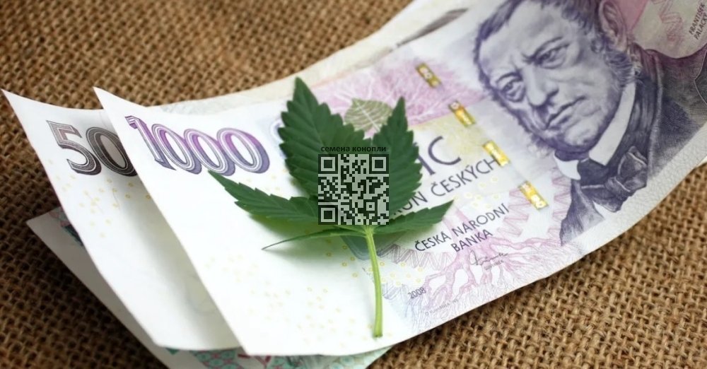 cannabis-czech-krone.jpg
