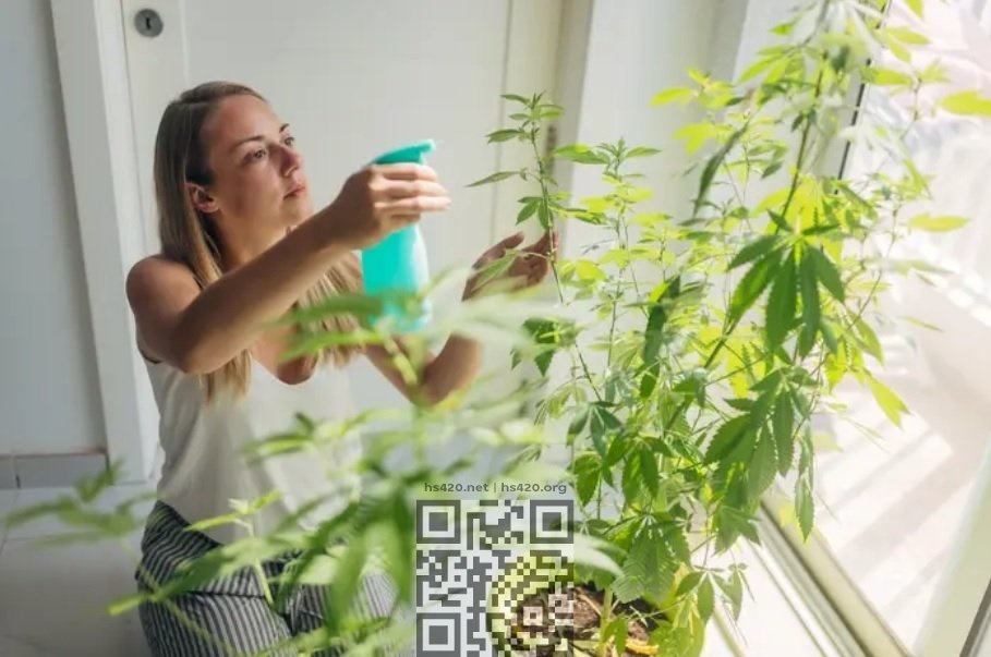 cannabis-grow-woman.jpg