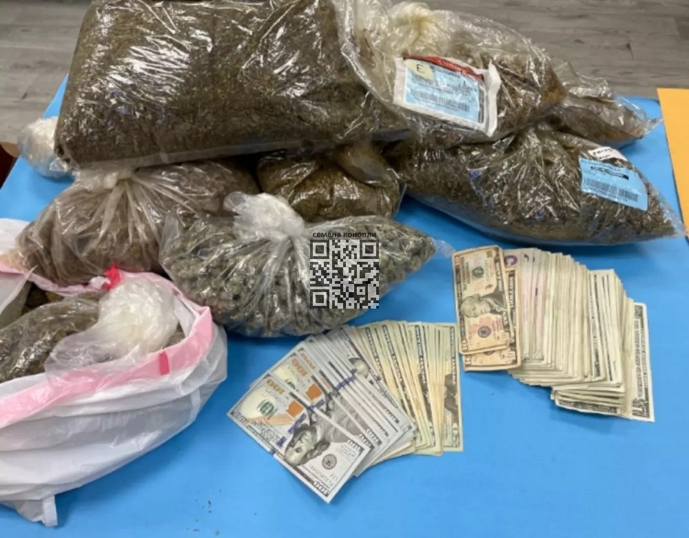 cannabis-money-seized-thieves.jpg