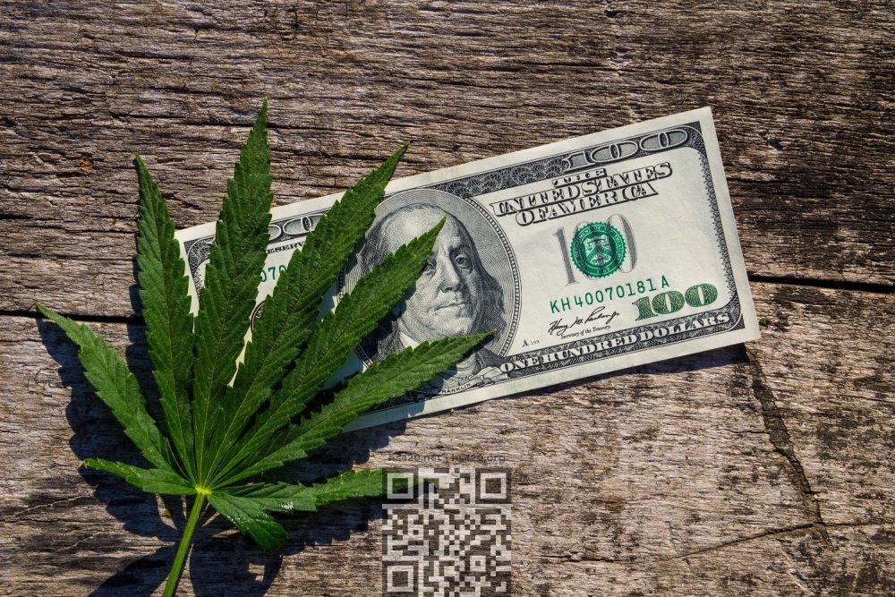 cannabis-money.jpeg