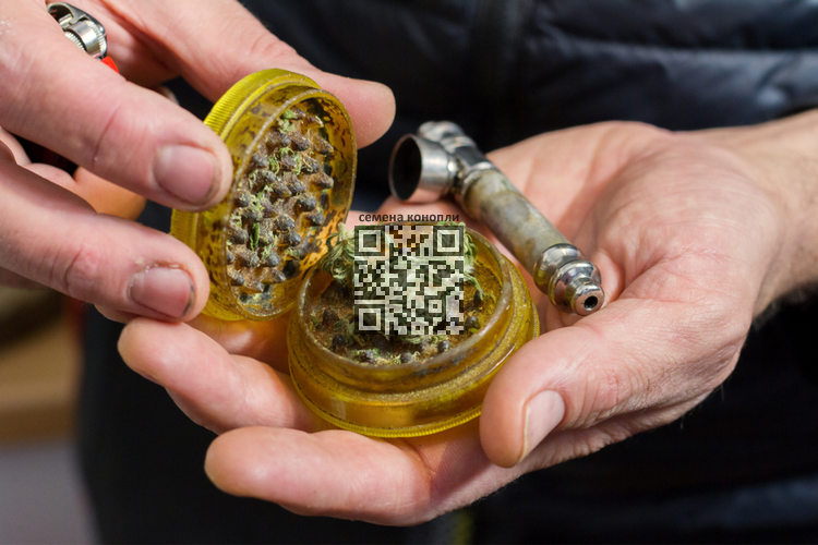 cannabis-smoke-pipe.png