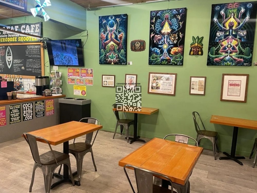 coca-leaf-cafe-raid.jpg