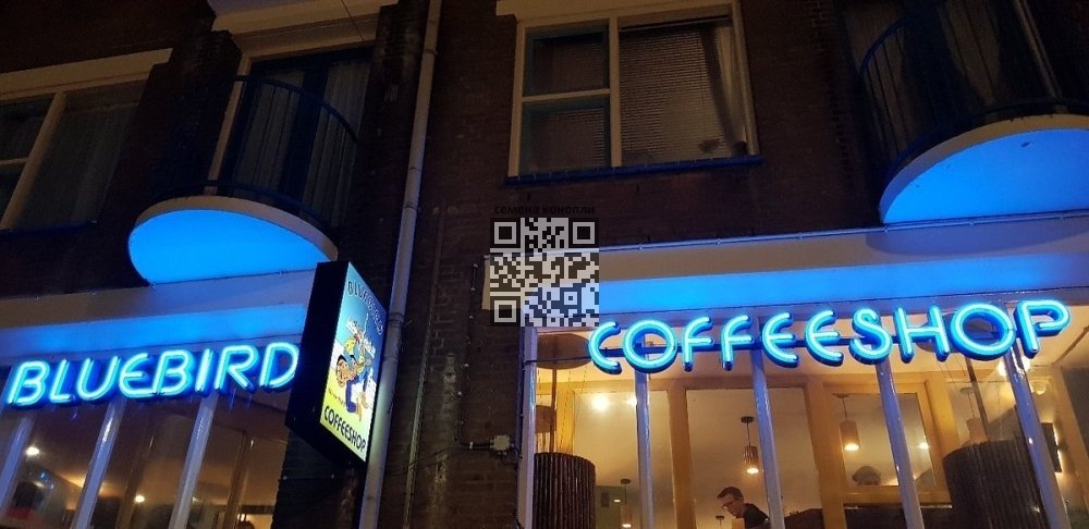 coffeeshop-bluebird.jpg