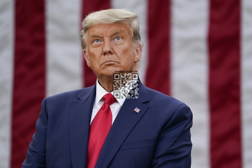 donald-trump.jpeg