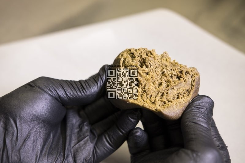hash-produced-in-morocco.jpg