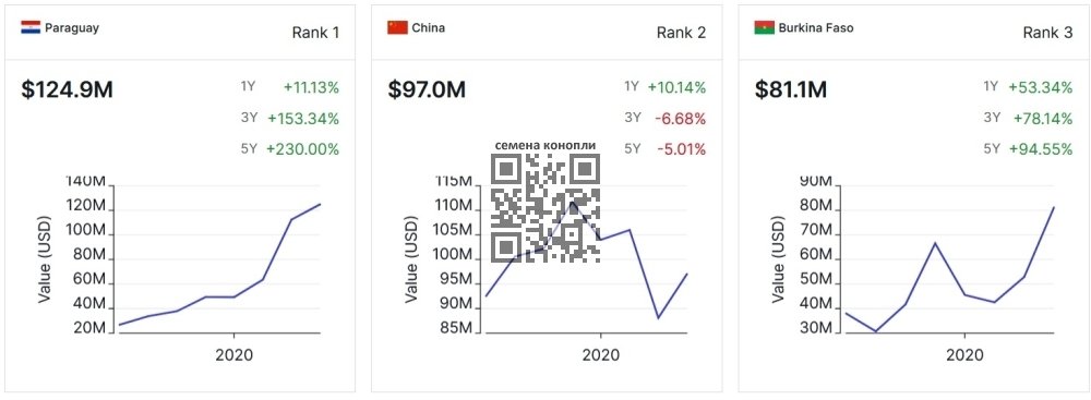 hemp-seeds-top-exporters-2023.jpg