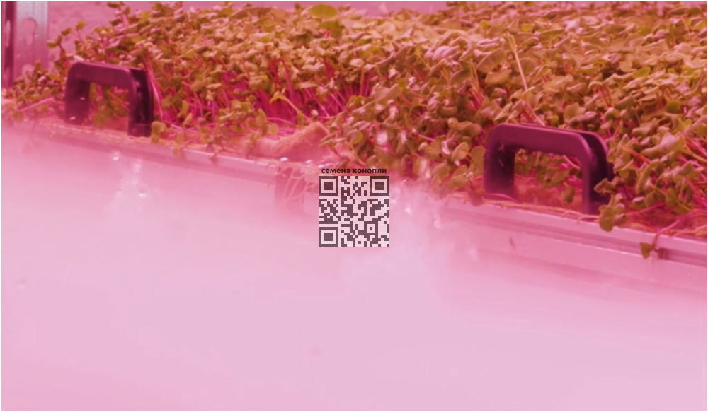 image.thumb.png.12db370d6f2298d1b3b26ed91daa4bbf.png