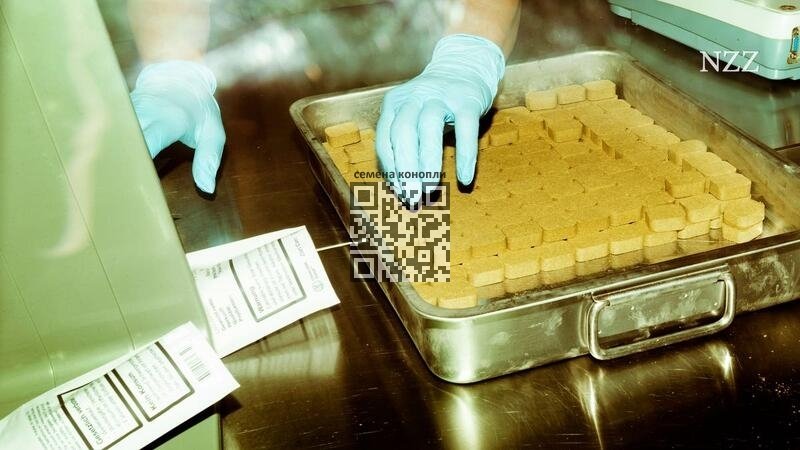 pure -poductions-hash.jpg