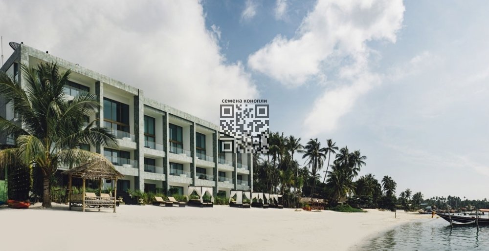 the-beach-samui-resort.jpg