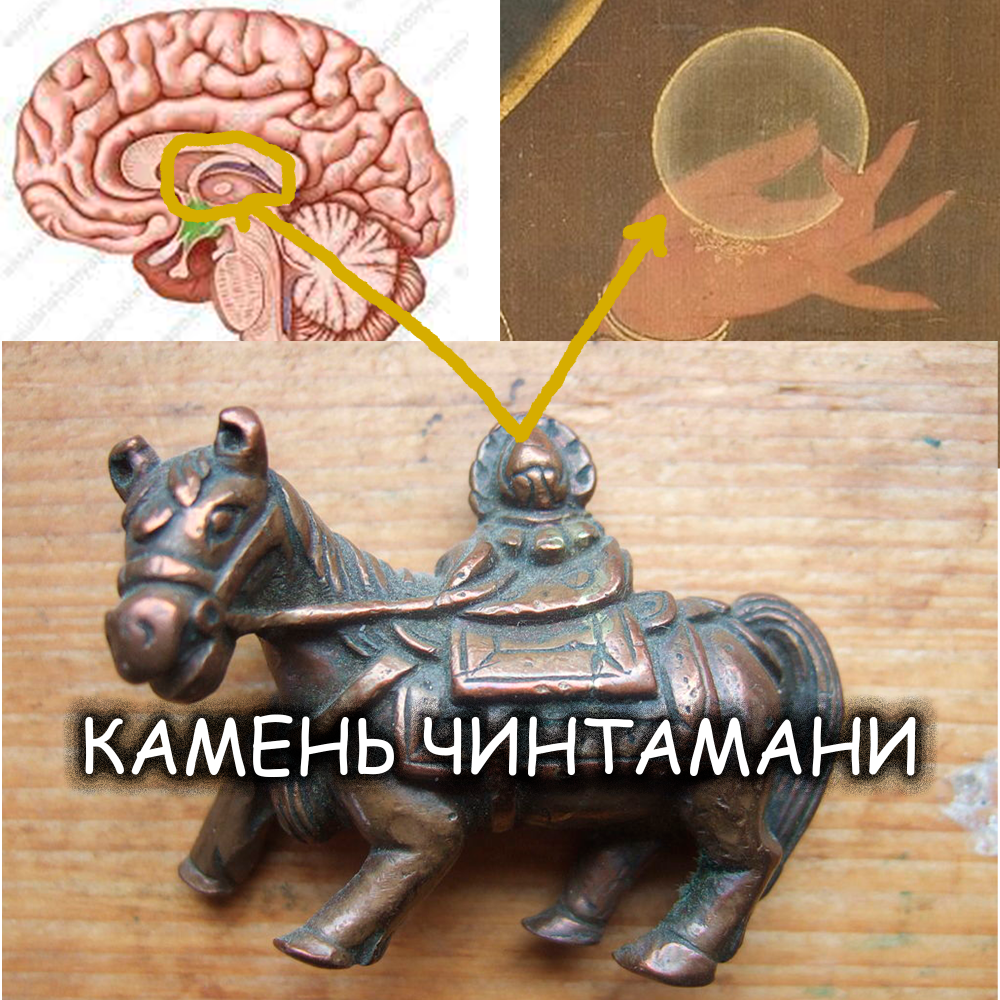 -1.thumb.png.dd32237d9090756c7ca878df6bbd9cf4.png