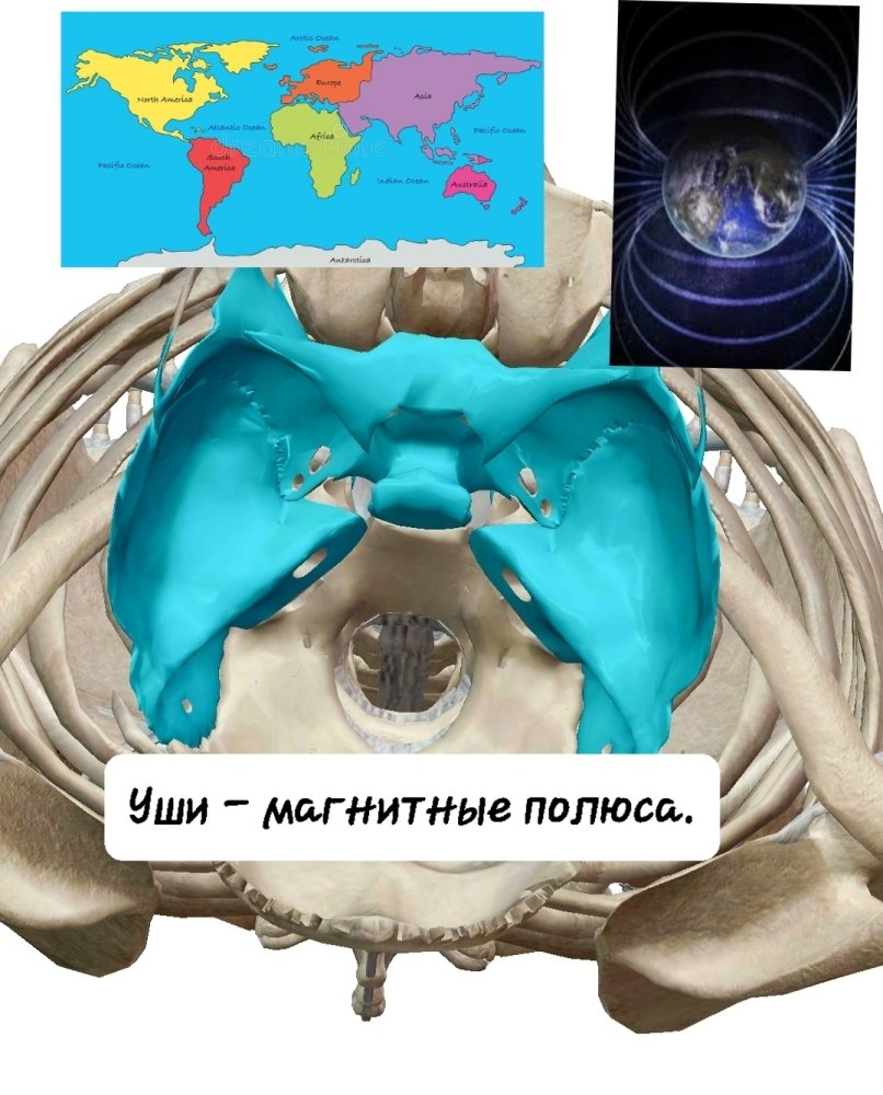 20241008_093940.thumb.jpg.6e1375e3c92fa92ef516a063d4eace1c.jpg