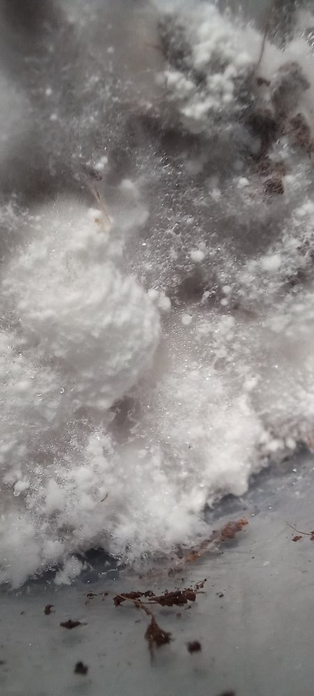 20241009_182842.jpg