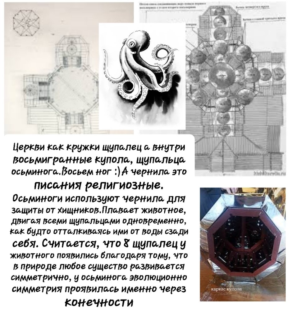 20241014_185151.thumb.jpg.9051b898522467cfee45ce4ec4cc8b00.jpg