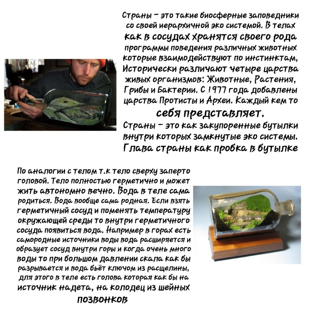 20241017_221211.thumb.jpg.fbc1ff7eedadb5b42cc5f0e271c2840d.jpg