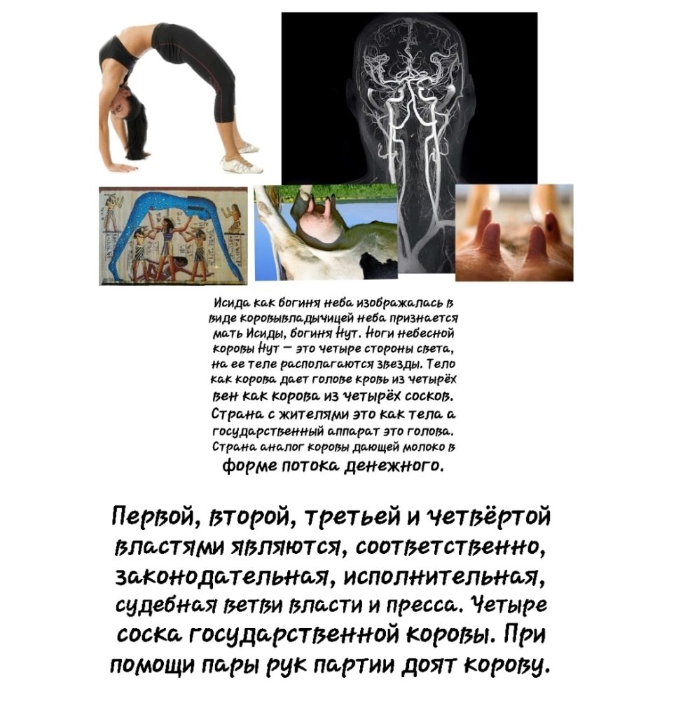 20241029_125729.thumb.jpg.b7cd19993a410ee4c7b9d3935785ea49.jpg