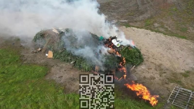 cannabis-burn-victoria.jpg
