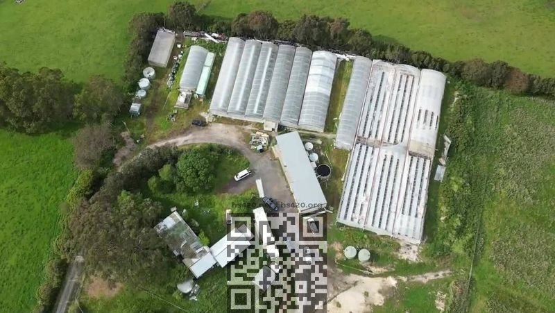 cannabis-farm-victoria.jpg