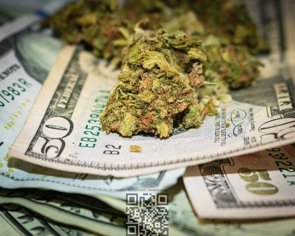 cannabis-money.jpg