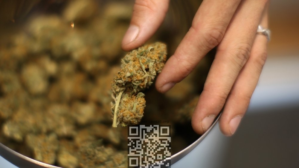 cannabis-possession.jpg