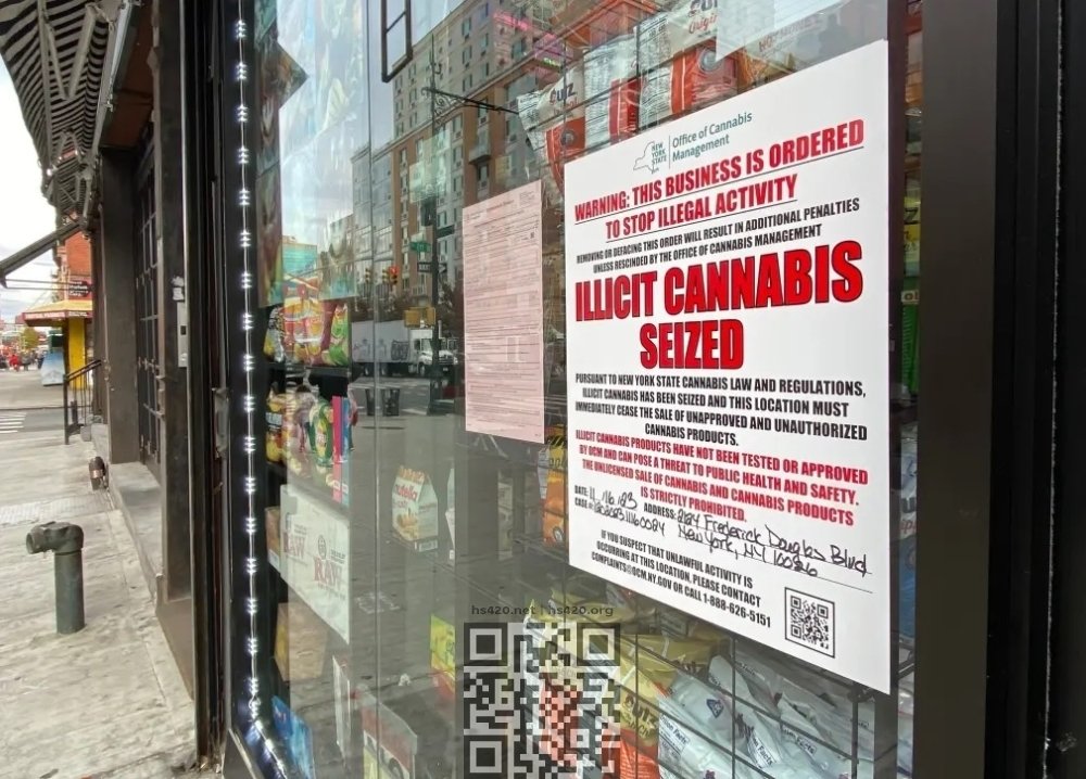 illicit-cannabis-shop-closed.jpg