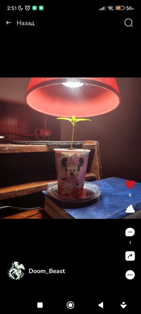 image.thumb.png.d85c8ba2b2f65aa3f32ea2fc77d2801f.png