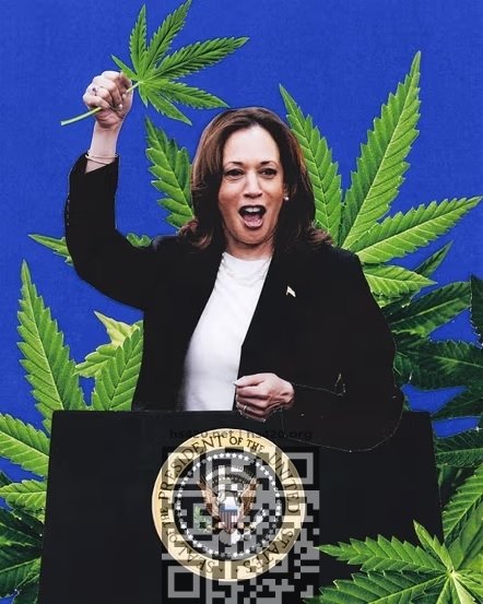 kamala-harris-cannabis.jpg