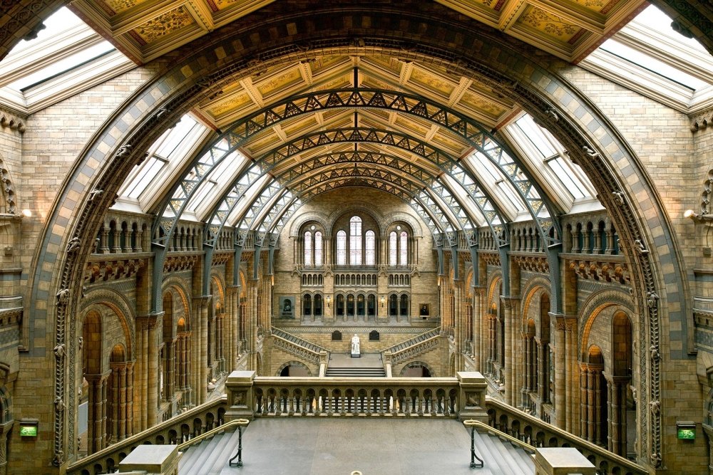 museum-main-hall-baby-hero.jpg