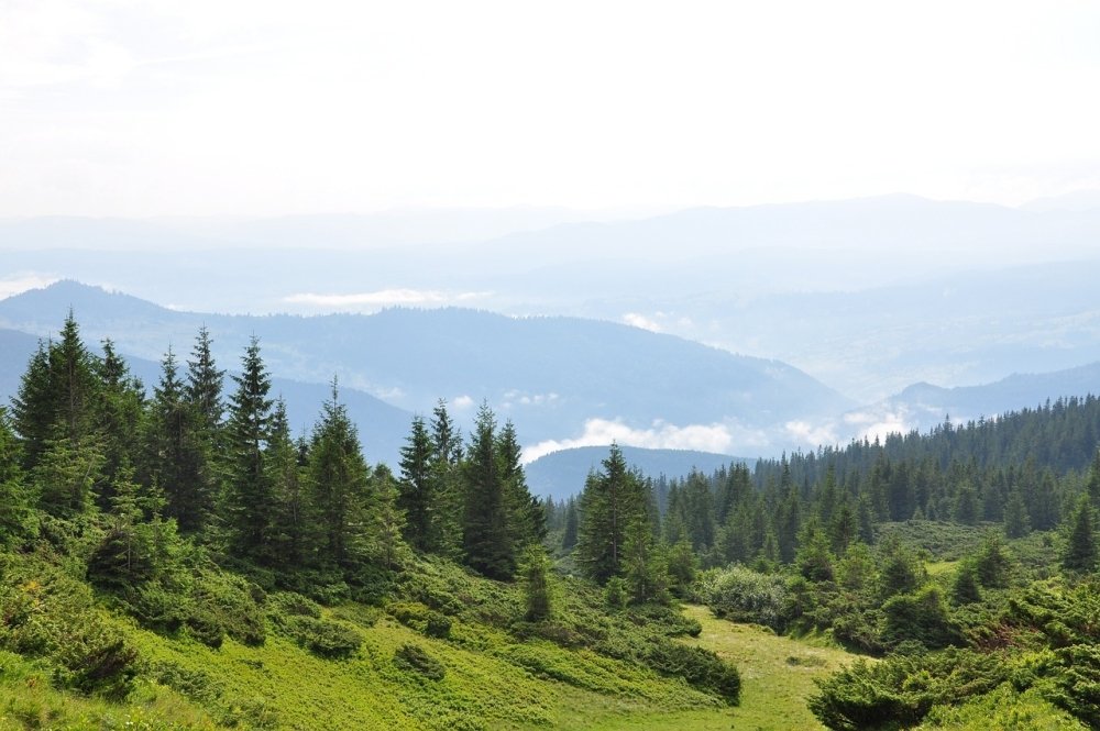 the-carpathians-3737814_1280.thumb.jpg.23894602682b045a6cd8e966656d1fe9.jpg