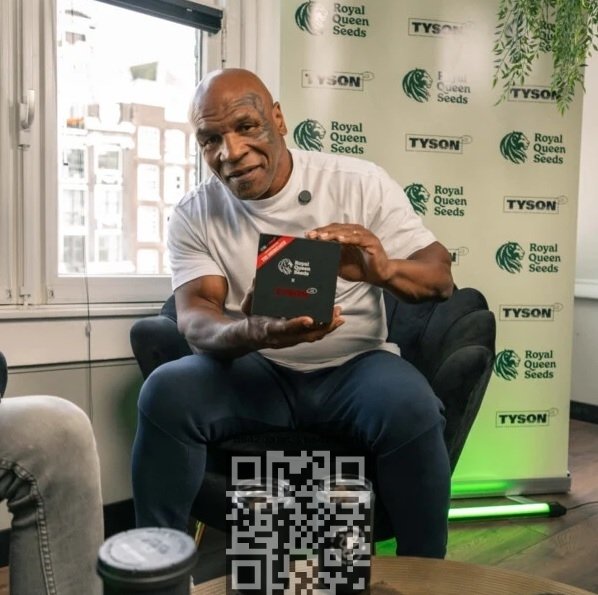tyson-collection-box.jpg