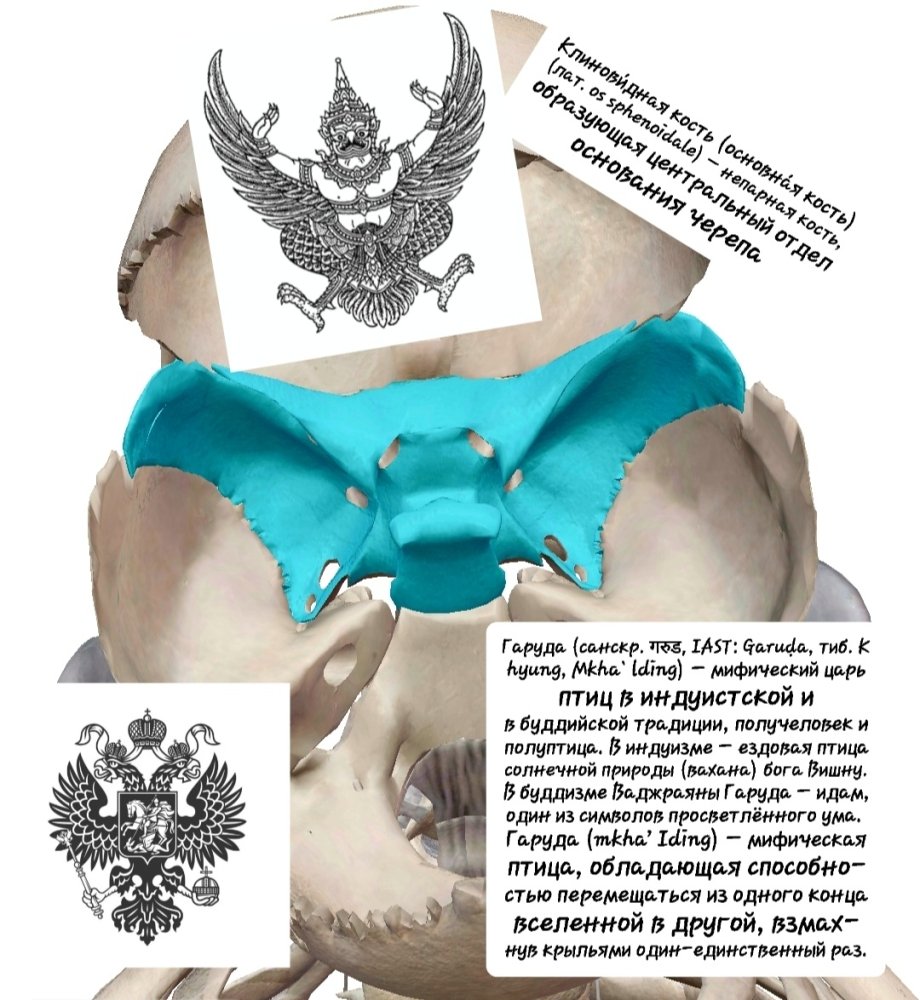 20241124_211910.thumb.jpg.5210d417dfa71217d574effb42499f74.jpg
