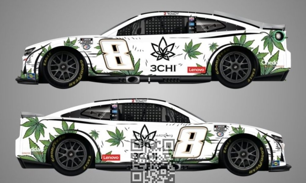 3chi-nascar-design.jpg