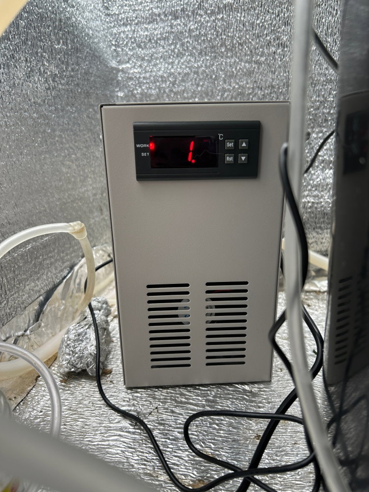 IOUV5229.JPG