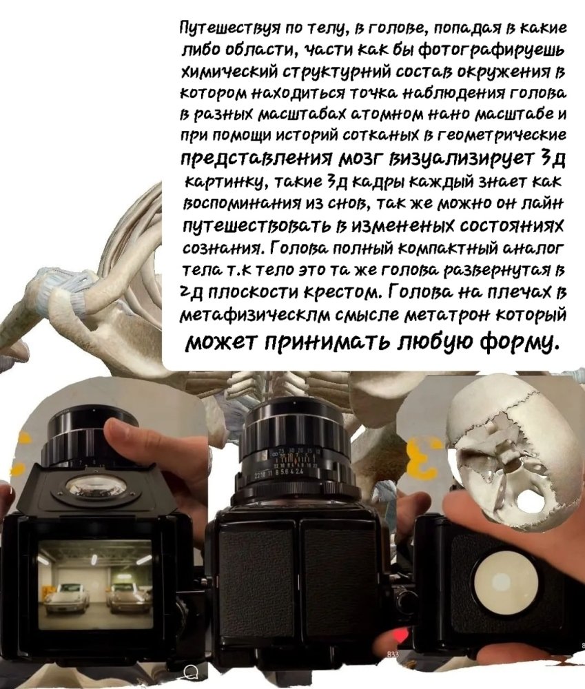 Screenshot_20241124-121222_Instagram.thumb.jpg.26bc8dee260920825df33cccc4ea962e.jpg