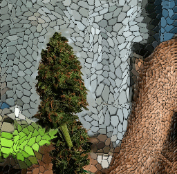 bud_in_hand.gif.14d03d491daf0ba915112905473e12f5.gif