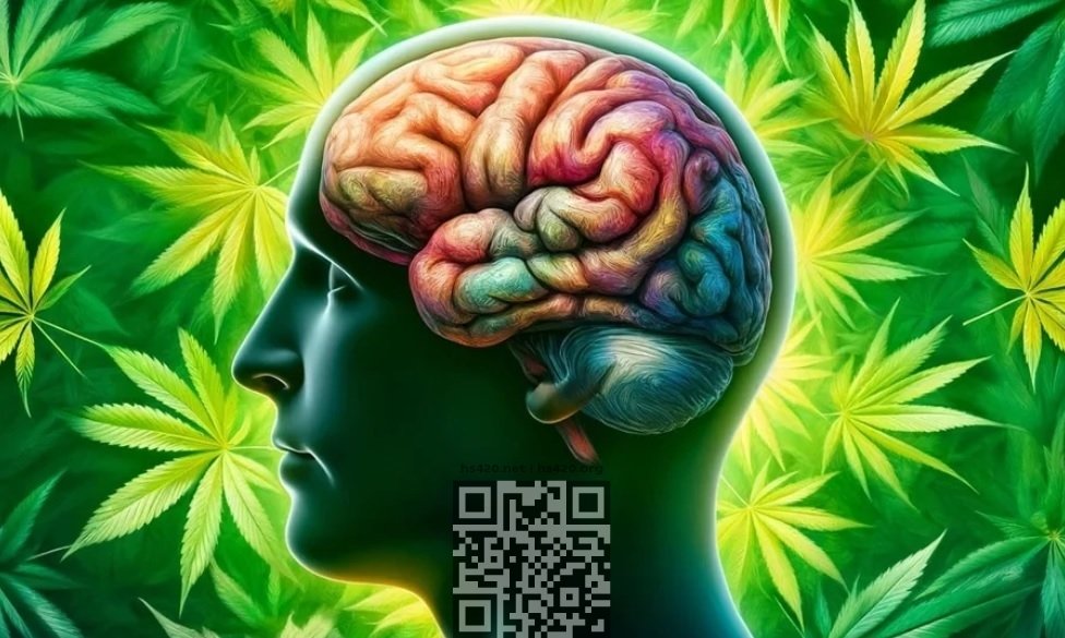 cannabis-brain.jpg