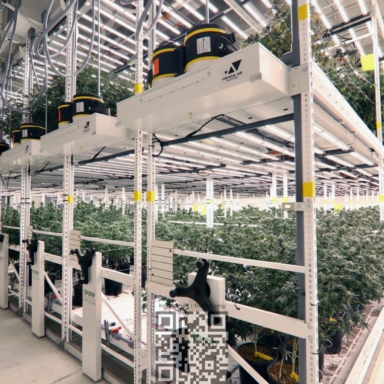 cannabis-farm-trulieve.jpg