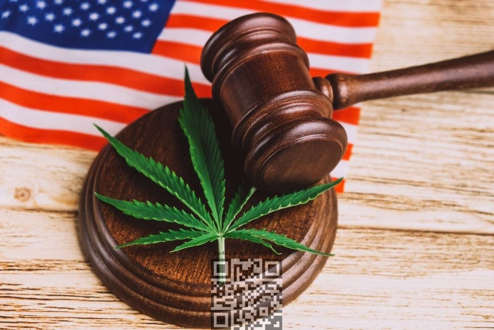 cannabis-law-us.jpg