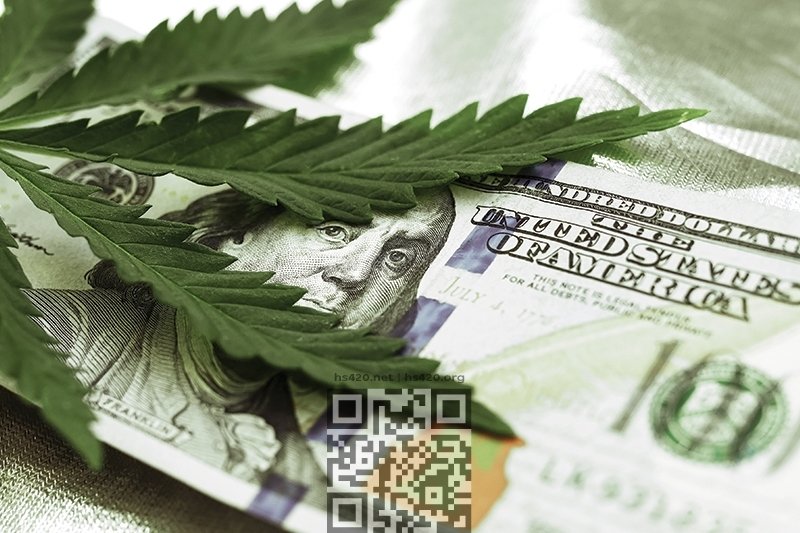 cannabis-money.jpg