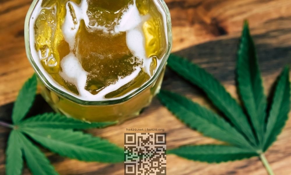 cannabis-or-alcohol.jpg