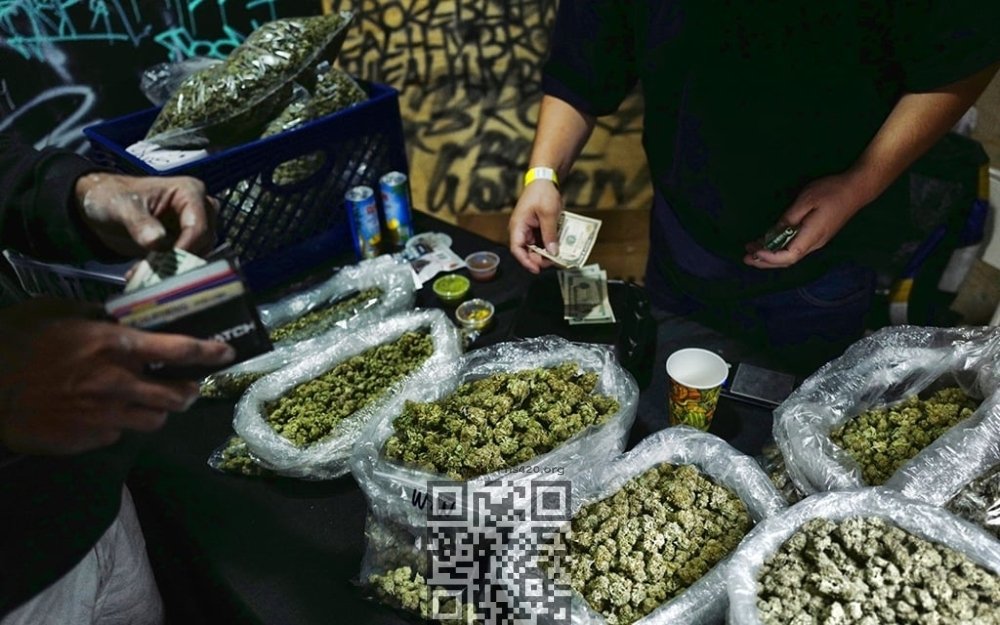 cannabis-sale.jpg
